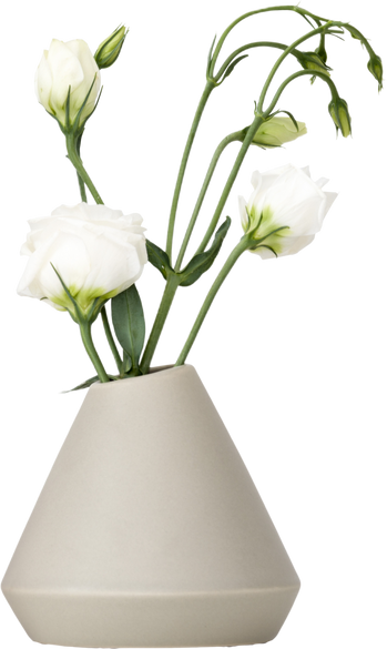 A Ceramic Vase Full of White Roses