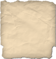 Isolated Crumpled Brown Paper Texture